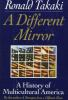 A_different_mirror