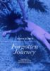 Forgotten_journey