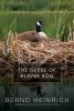 The_geese_of_Beaver_Bog