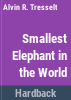 The_smallest_elephant_in_the_world