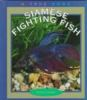 Siamese_fighting_fish