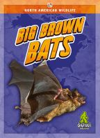 Big_brown_bats