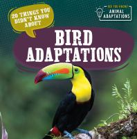 20_things_you_didn_t_know_about_bird_adaptations